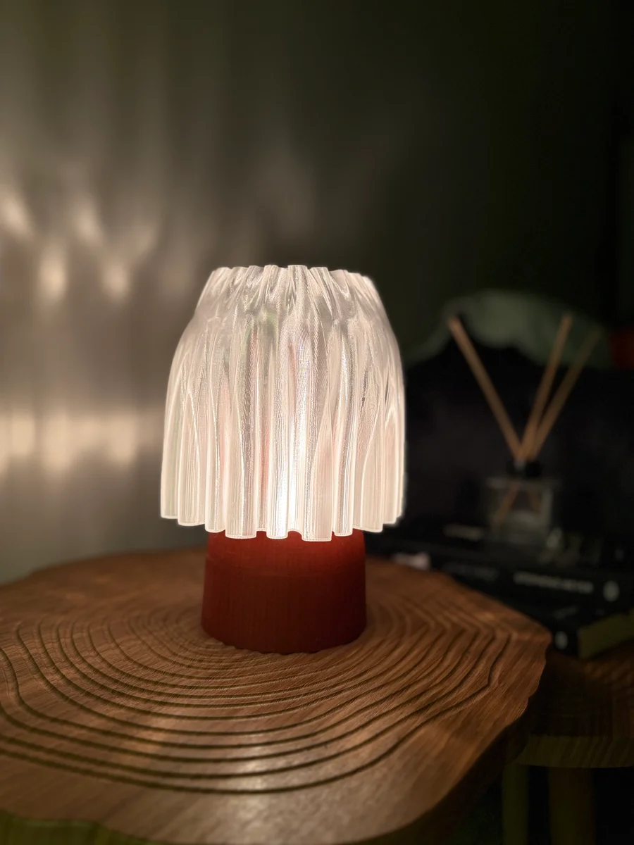 Modern Tasarım Dekoratif Masa Lambası – 3D Baskı Abajur Gece Lambası | Dolya